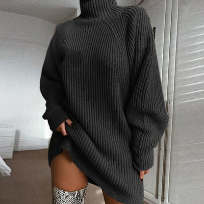 Women's turtleneck sweater dress